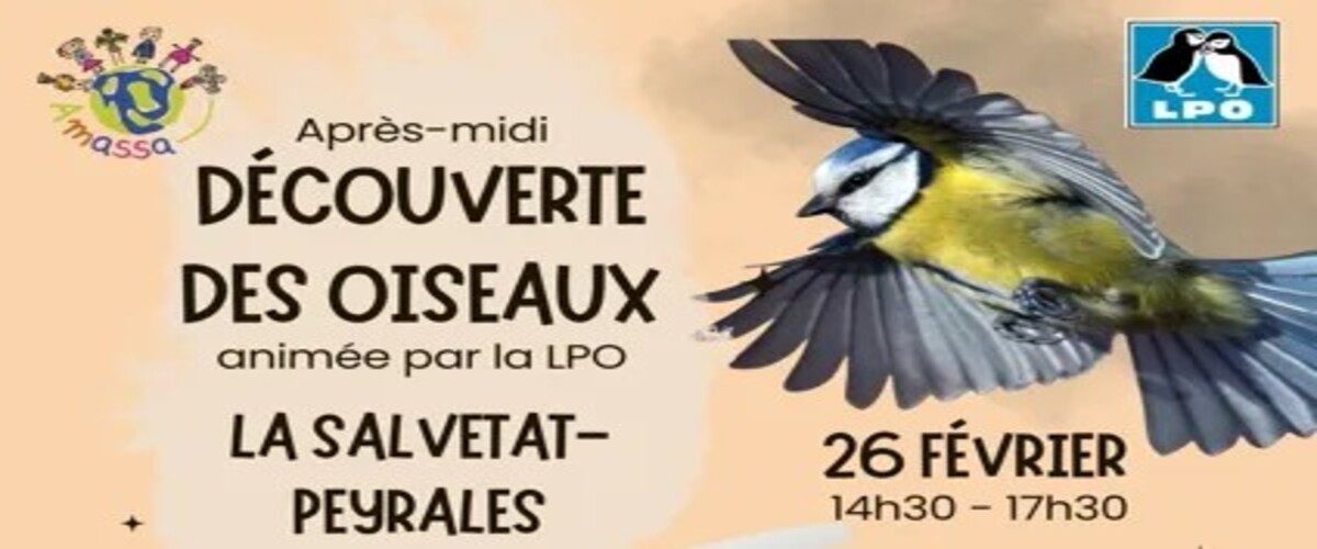 Découverte des oiseaux par la LPO