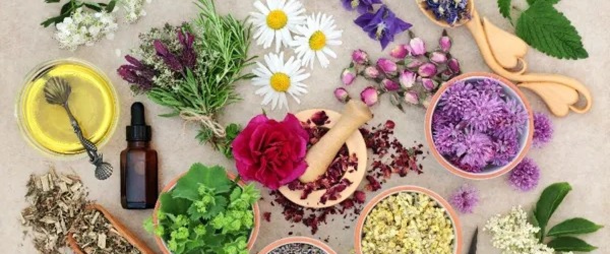 Atelier Herboristerie