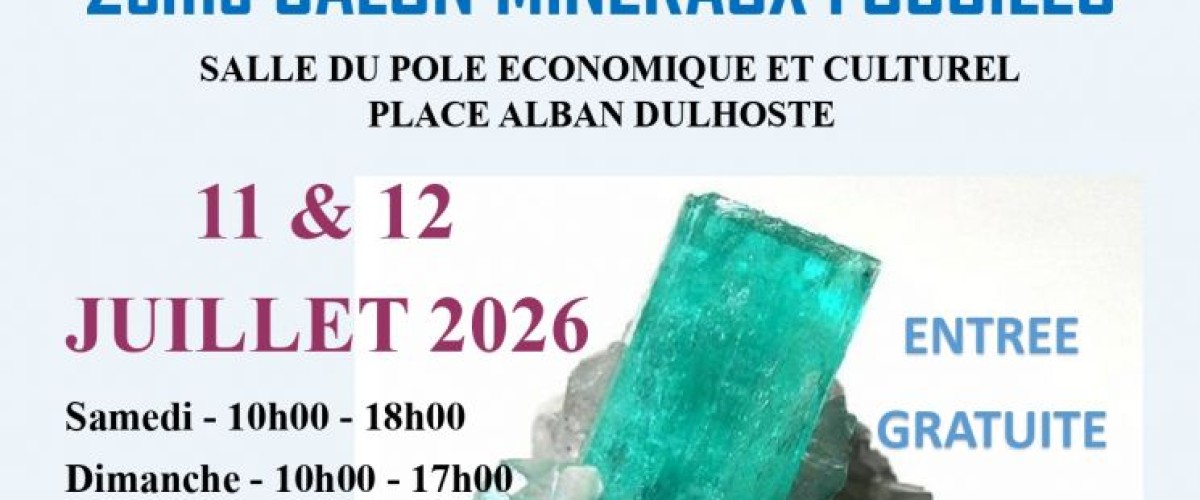 Salon des Minéraux et Fossiles