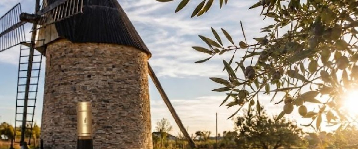 Fête de l'olive et du vin