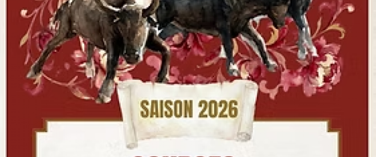 Course Camarguaise