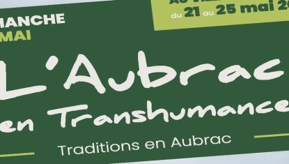 L'Aubrac en Transhumance