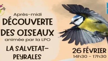Découverte des oiseaux par la LPO