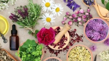 Atelier Herboristerie