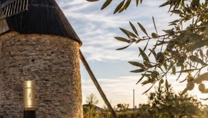 Fête de l'olive et du vin