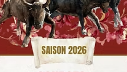Course Camarguaise
