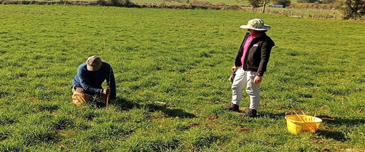 Service de piégeage de campagnols en Aubrac