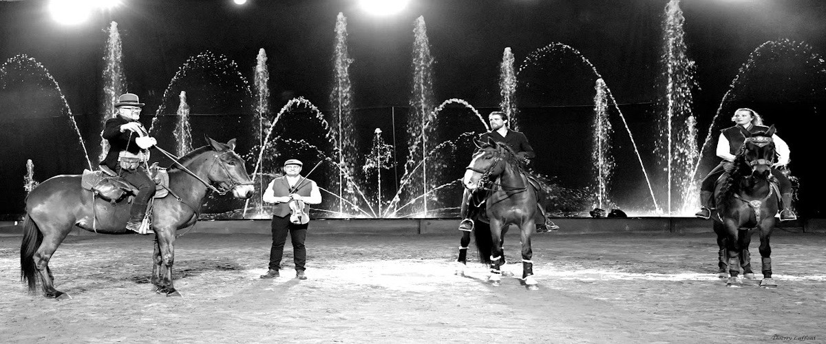 Succès pour le Salon du Cheval d’Albi