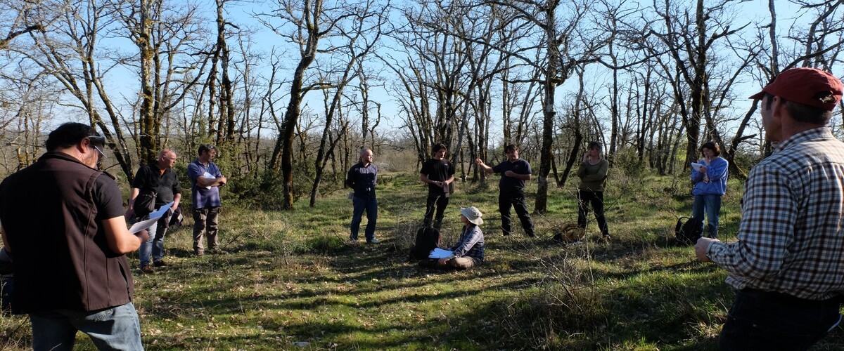 Du pâturage en forêt au sylvopastoralisme