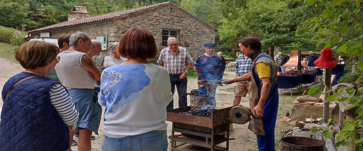 Les Martinets du Lézert : 25 ans, toujours vivants !