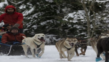 Le Souffle Nordique repart sur les pistes !