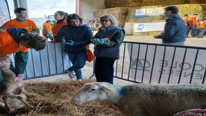 10 jeunes bergers aux Ovinpiades 2026