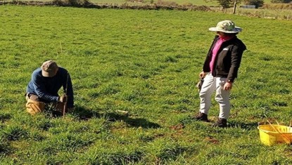 Service de piégeage de campagnols en Aubrac