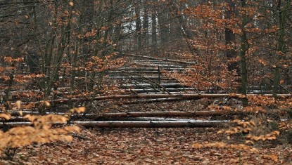 Aude : vigilance rouge pour vents violents !