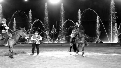 Succès pour le Salon du Cheval d’Albi