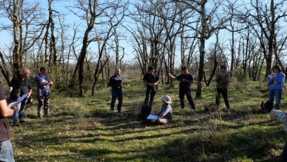 Du pâturage en forêt au sylvopastoralisme
