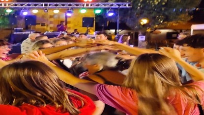 Les bals du 13 juillet gardent le cap !