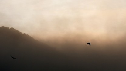 Qualité de l’air : la préfète active l’alerte