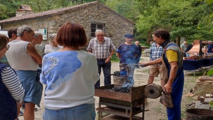 Les Martinets du Lézert : 25 ans, toujours vivants !