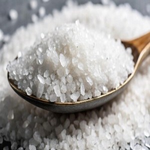 Rencontre avec un saunier en Camargue 