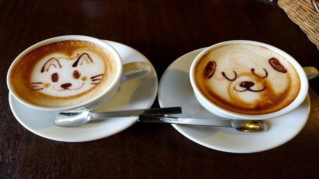 MAXXI Paus' Café